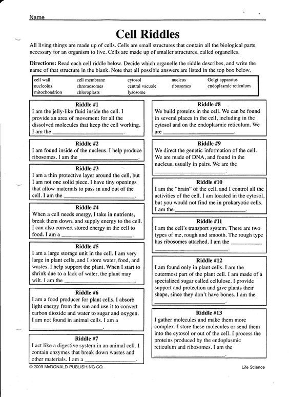 Prokaryotic And Eukaryotic Cells Worksheet Answers
