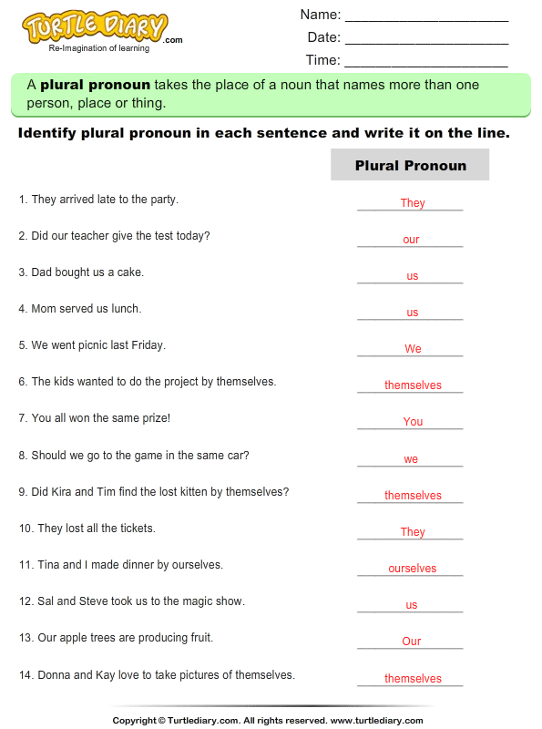 Identify Plural Pronoun In Each Sentence Worksheet
