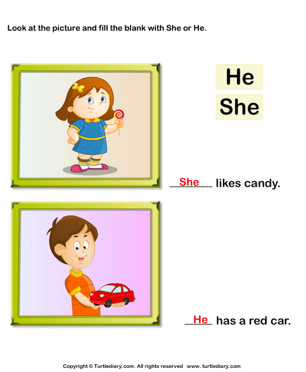 Use Of The Words She Or He In A Sentence Worksheet