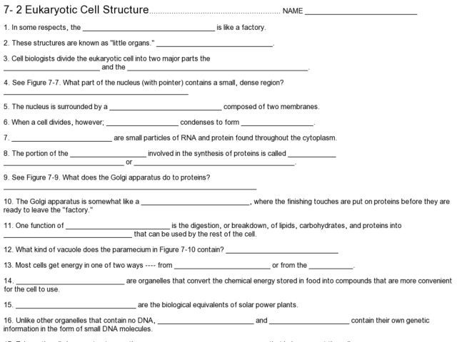 Cell Structure And Function Worksheet Answers Cellular Structure