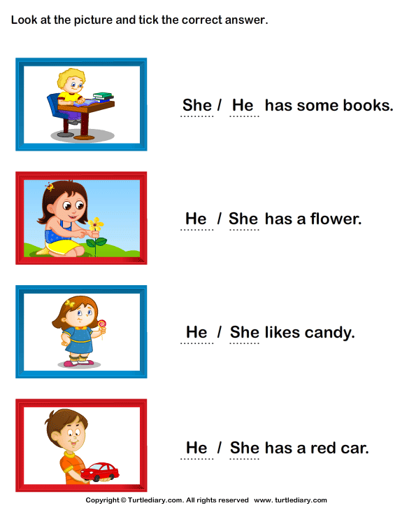 Choose Between She And He Worksheet