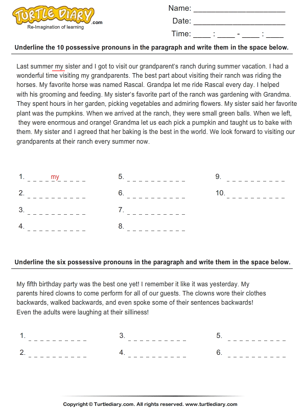 Identify Possessive Pronouns In A Paragraph Worksheet