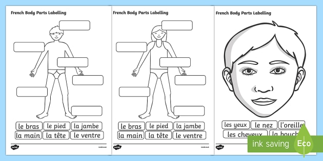 French Body Parts Labelling Worksheet