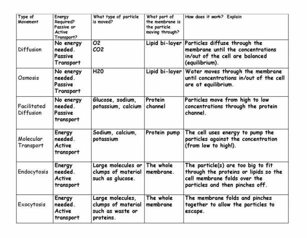 Cell Membrane And Transport Worksheet Answers â Cellular Structure