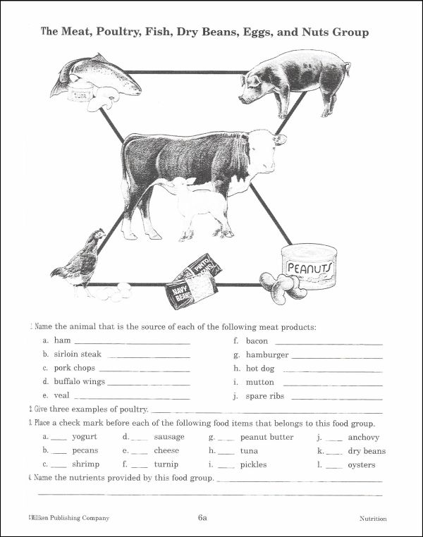 Printables  Nutrition Worksheets For High School