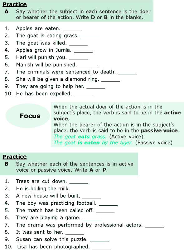 Grade 6 Grammar Lesson 11 Active And Passive Voice (1)