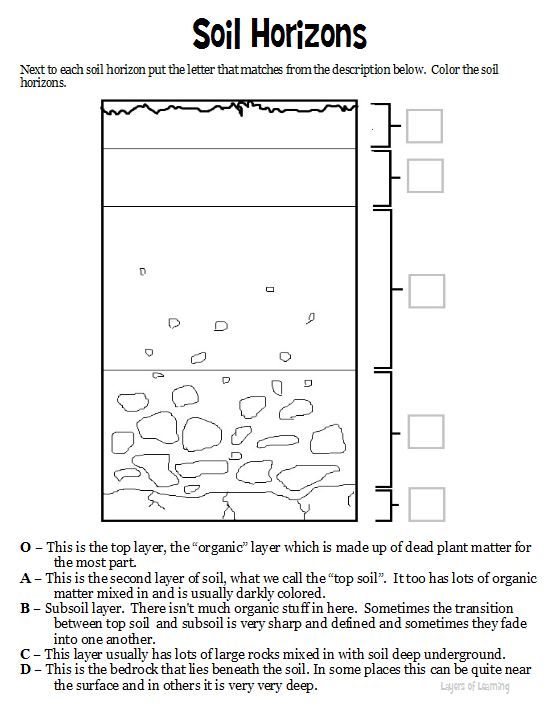 Soil Horizons