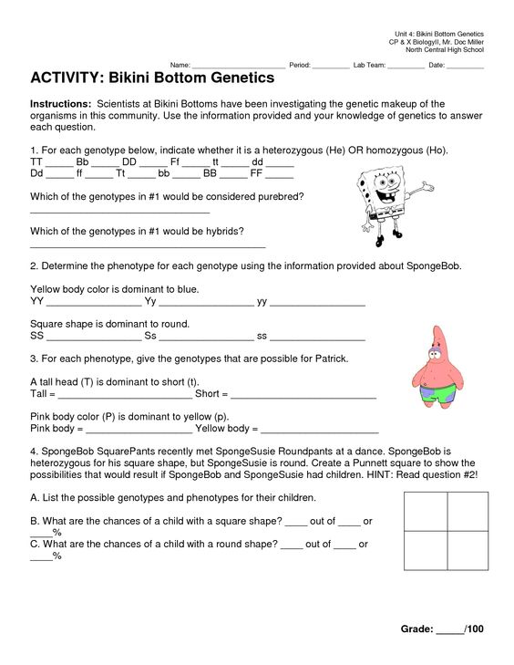 Printables  Spongebob Science Worksheet  Lemonlilyfestival