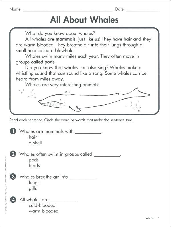 6th Grade Reading Worksheets 6th Grade Ela Worksheets Grade