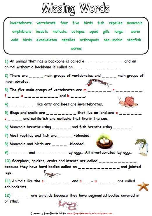 Animal Classification Activity Worksheets