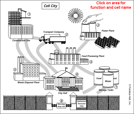 Copy Of Cell Choice Board Quarterly