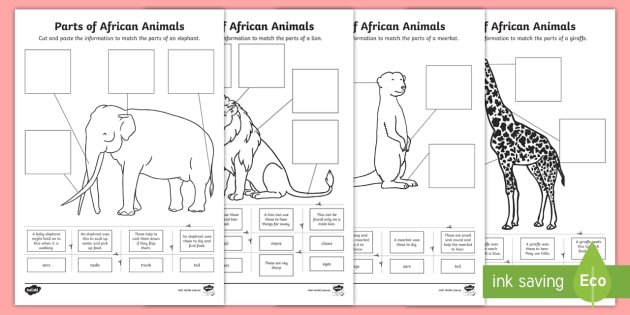 Parts Of African Animals Cut And Paste Worksheet   Worksheets