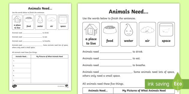 Animals Need Worksheet   Worksheet