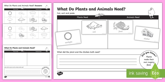 Plants And Animals Needs Worksheet   Worksheet