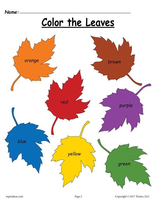 Free Fall Leaf Color Words Worksheet