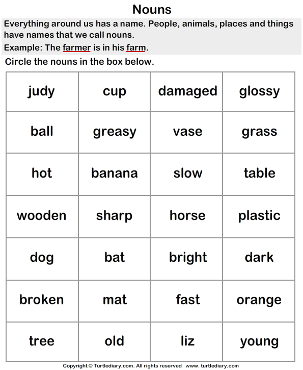 Circle The Words That Are Noun Worksheet