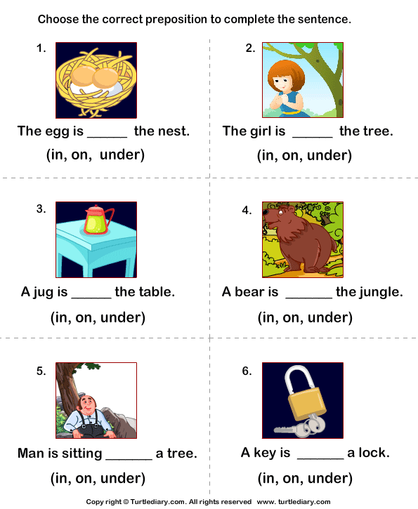 Complete The Sentences Using Preposition In On And Under Worksheet