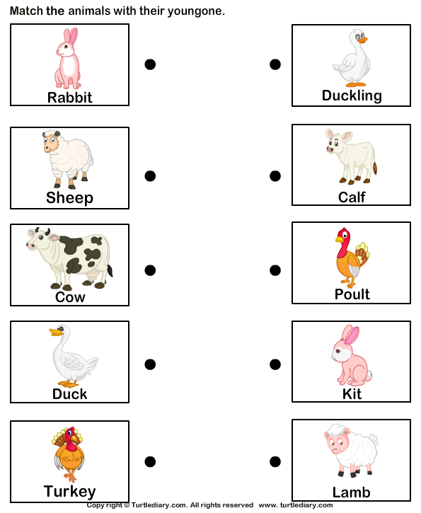 Match Farm Animals To Their Babies
