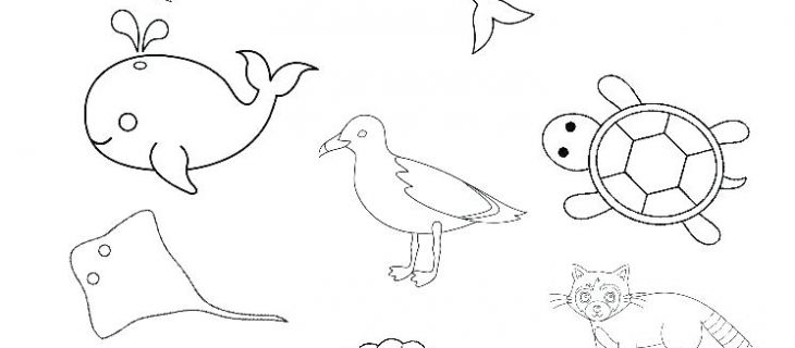 Esl Beginner Worksheet Esl Color Worksheets Animal Worksheets