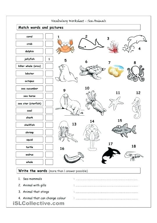 Esl Worksheets For Kids Crosswords â Muanhasaigon Online