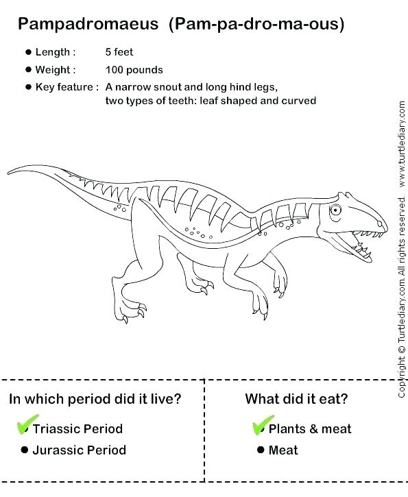 Farm Animals Worksheet Animal Adaptations Worksheets Grade Ou