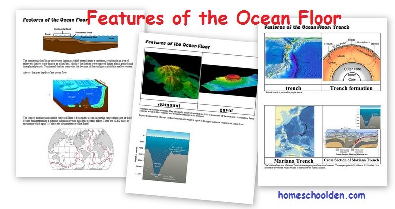 Features Of The Ocean Floor Projects