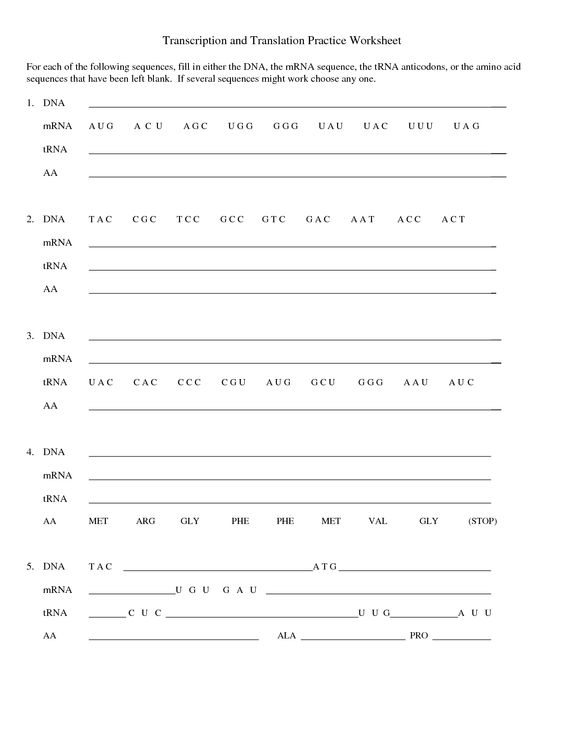 Transcription And Translation Worksheet Key