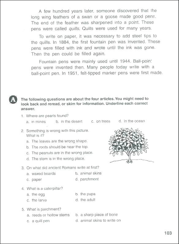 6th Grade Writing Worksheets