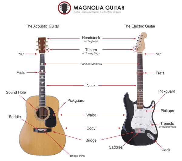 The Parts Of A Guitar
