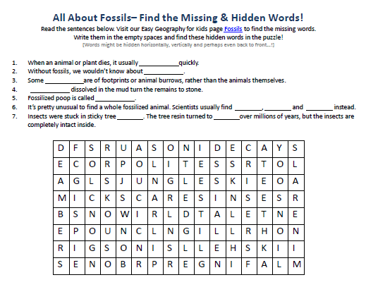Fossils Worksheet