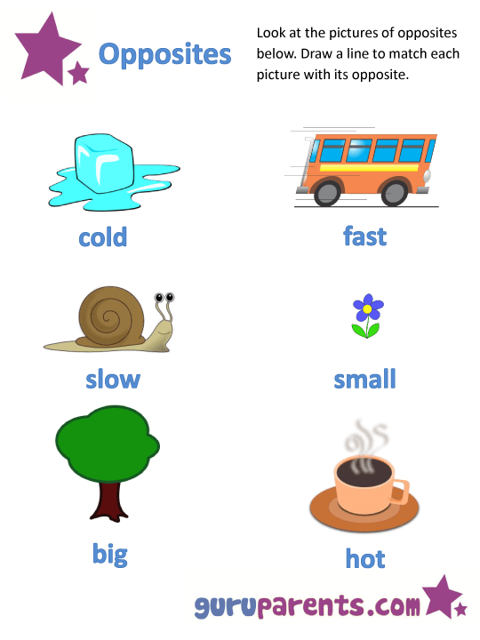 Opposites Worksheets