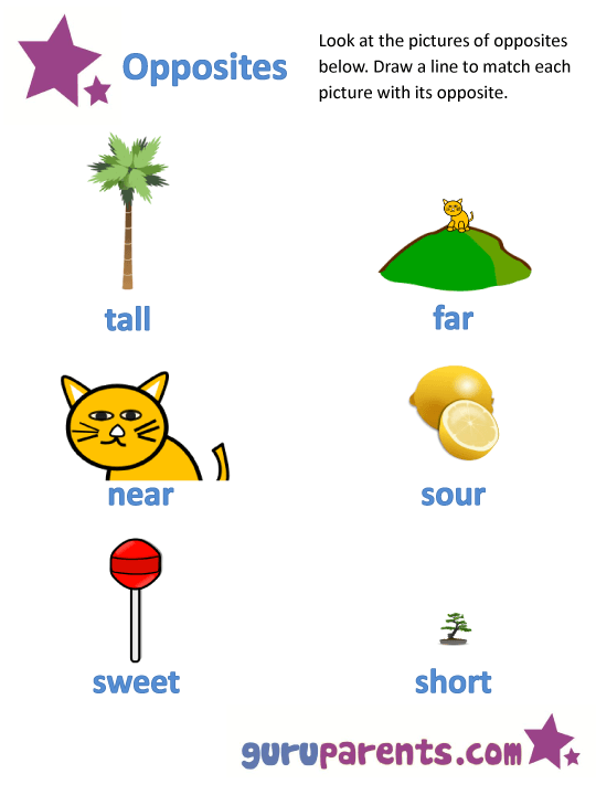 Opposites Worksheets