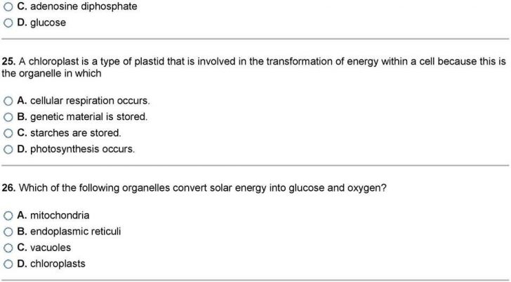 Protein Structure Worksheet