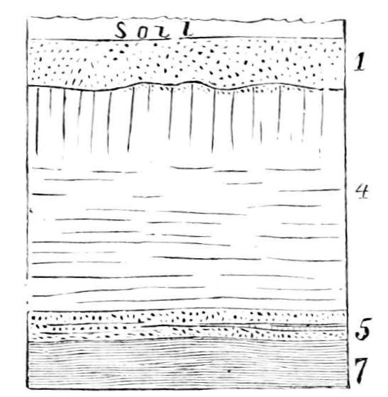 Tattoo Woment ,  Layers Of Soil