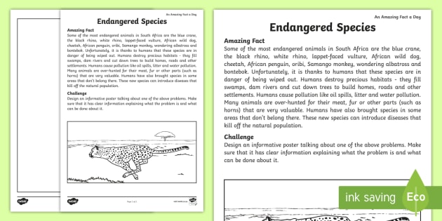 Endangered Animals Worksheet   Worksheet