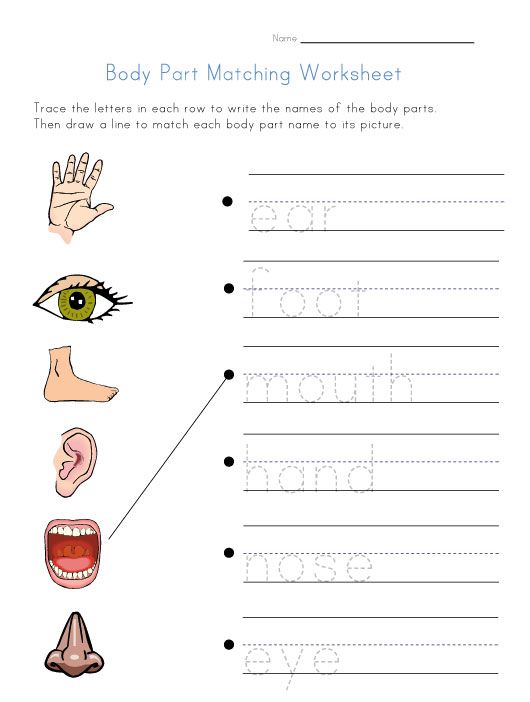 Body Matching Worksheet