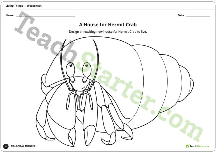 A House For Hermit Crab
