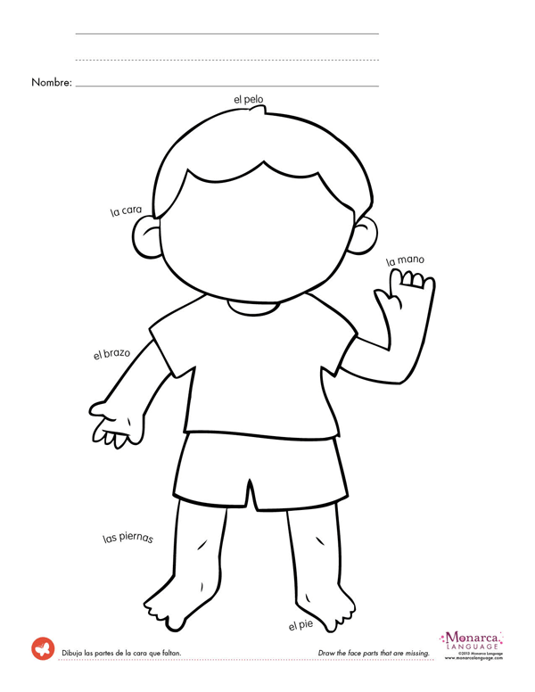 Body Parts  4s Printables