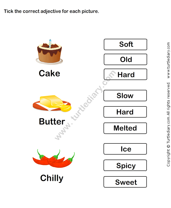 Describing Words Worksheet 15