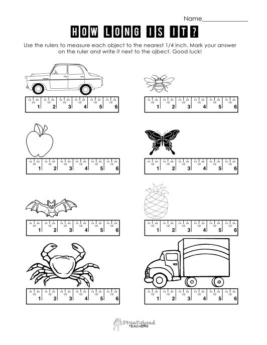 Ruler Worksheet 1