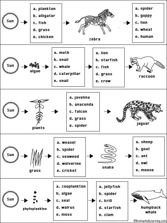 Worksheet