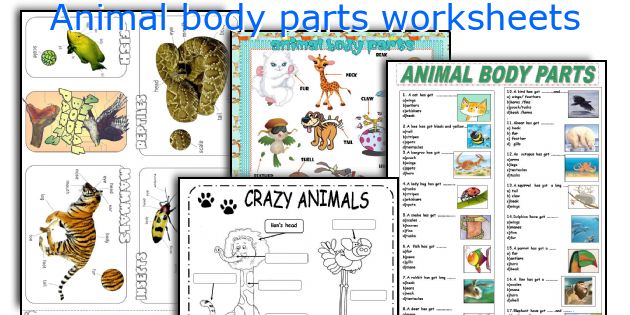 Animal Body Parts Worksheets