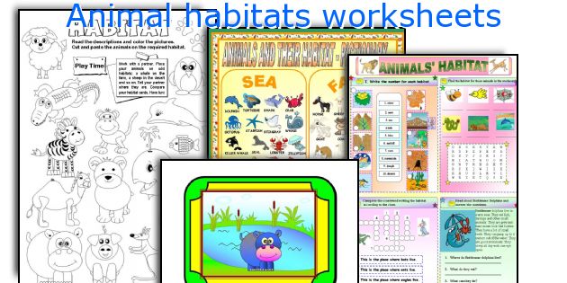 Animal Habitats Worksheets