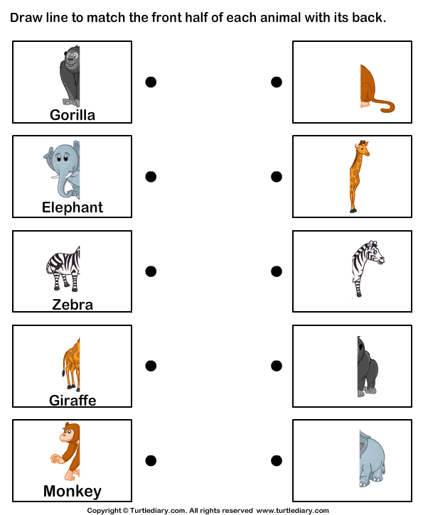 Body Parts Of Animals Worksheets Worksheet