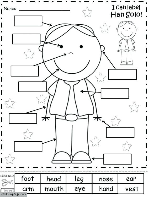 Free Printable Worksheets Kindergarten Body Parts â Spieleaffe Info