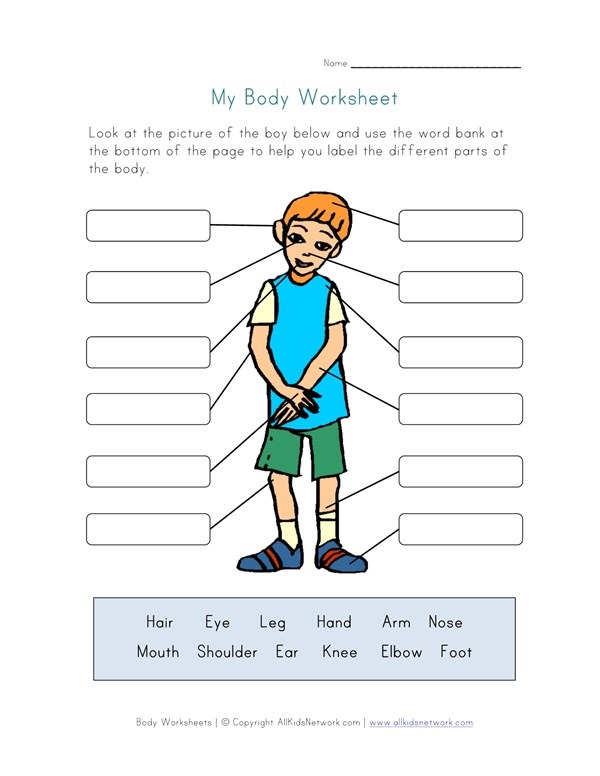 Body Parts Worksheet For Kids