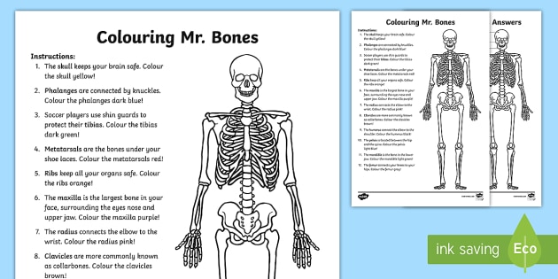 Colouring Mr  Bones Worksheet   Worksheet