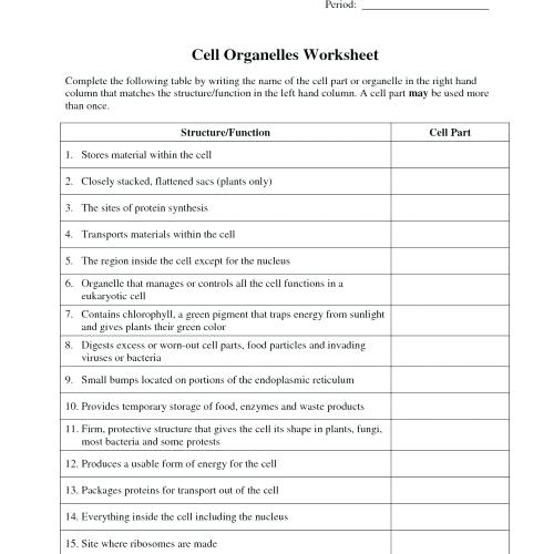 Cells Organelles Worksheet Animal Cell Diagram Worksheet Answers