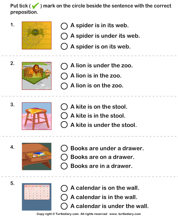 Choose The Sentence With The Correct Preposition In On And Under