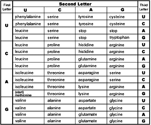 Lab Manual Exercise  3